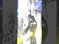 ø'-v5b. How Are You. #electronicmusic #art #techno #computerart #edm