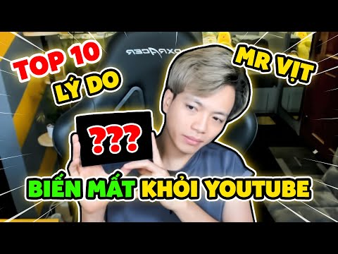 TOP 10 Reasons Why Mr Vịt Disappeared From YouTube