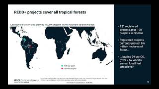 REDD+: Reduced Emissions or Distorted Decrease?