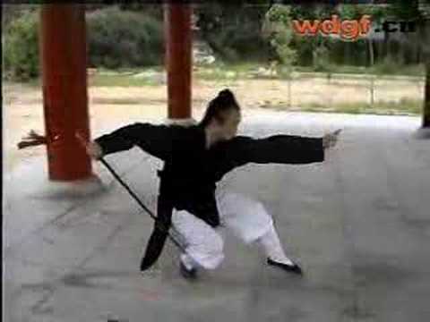 WUDANG KUNGFU | Wudang Seven Star Sword 七星剑