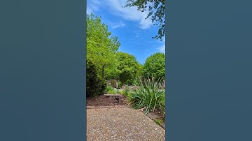 BetaFPV Meteor65 Tiny whoop with a crash into the camera.