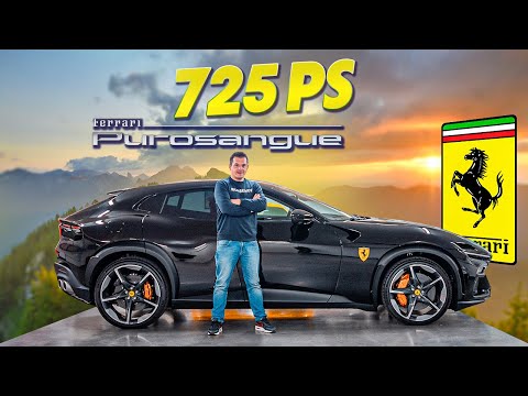 MEIN PUROSANGUE 💥‼️Feedback nach 3 Monaten in der Sammlung …🔥