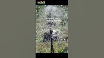 Nhận thi công lắp đặt hệ thống tưới, phun thuốc 0971901679