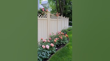 35 Stunning Privacy Fence Ideas For A More Private Backyard