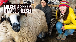 Trying to Survive a Shepherd Life in the Mountains