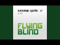 Miniature de la vidéo de la chanson Flying Blind