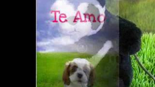 Video thumbnail of "Franco Rojas y Sinceridad - Mas y mas"