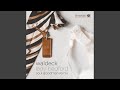 Miniature de la vidéo de la chanson Lady Bedford (Soul Goodman Remix)