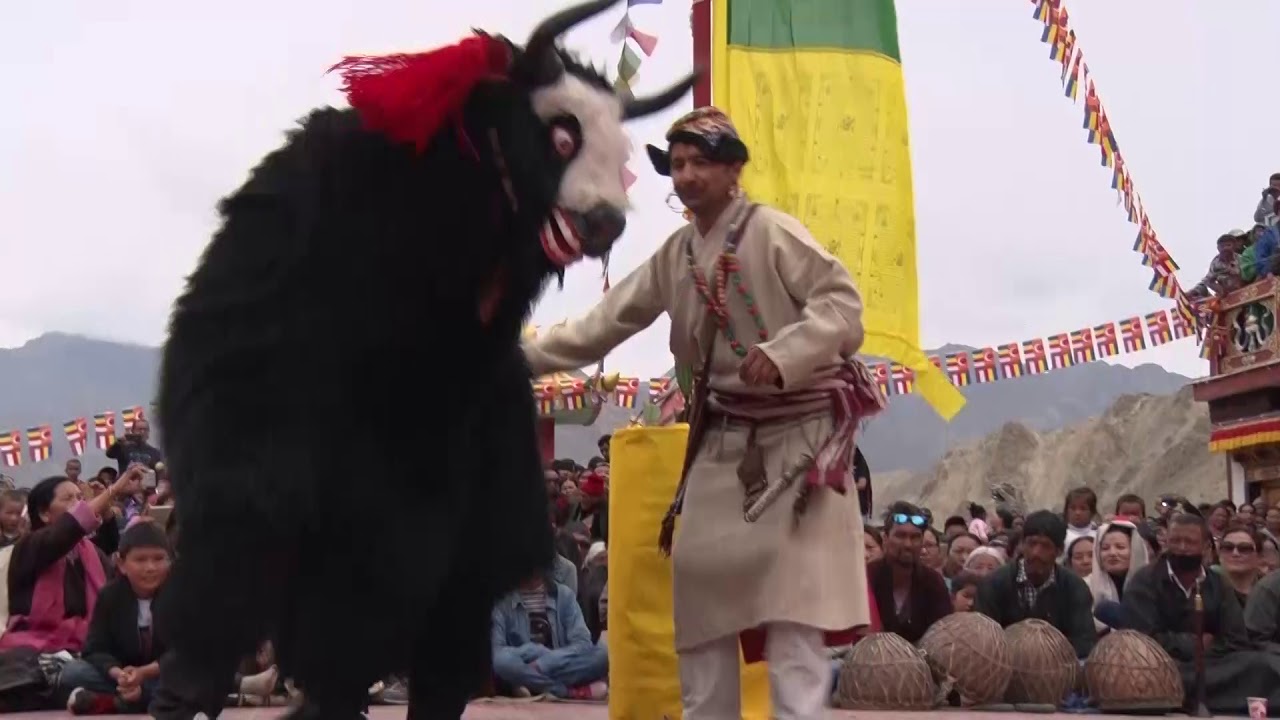 #Yak dance# Ladakh in Hamalaya