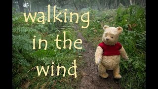 Christopher Robin 2018 || walking in the wind by Miss_clouds 2,302 views 4 years ago 1 minute, 28 seconds