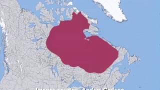 Faster Sea Rise