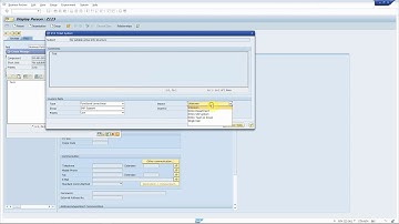 SAP Solution Manager Service Desk: attach a transaction shortcut to a Support Message