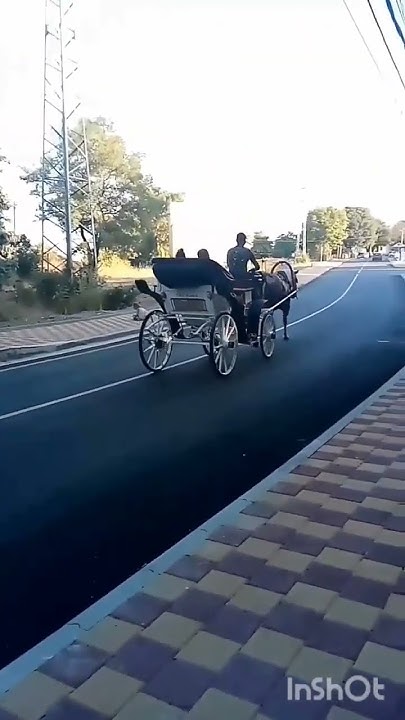 🇧🇬Катание туристов на бричке/Езда на туристи на каруца/Riding tourists ...