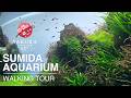 Sumida Aquarium Tokyo Japan Walking Tour 4K