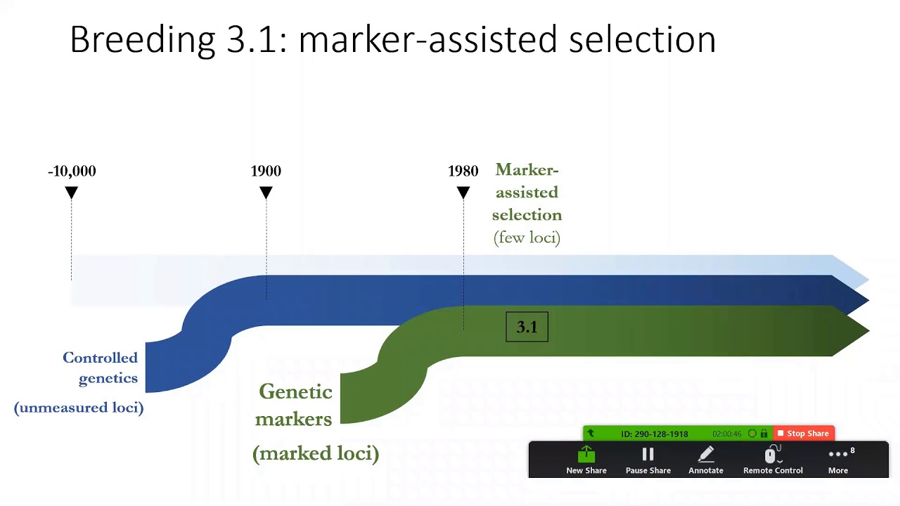 8.26.2019 Webinar Breaking the curse of dimensionality for causual ...