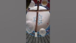 Pleci flavus ( pleci tambak ) gacor