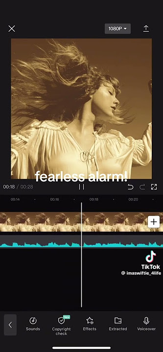 Taylor Swift Fearless Alarm!