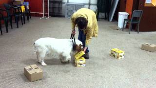 Jack_03_20111010.MOV