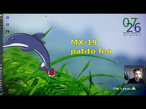 MX 19 "patito feo"