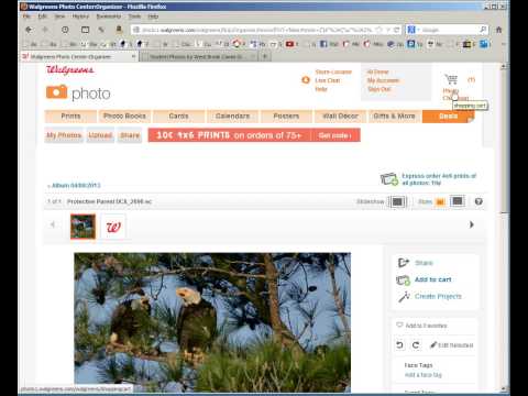 Walgreen's Photo Order - How to upload Full Resolution as well as cropping to an 8x10
