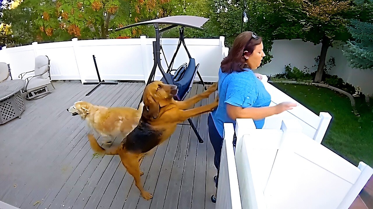 Hilarious Security Camera Fails 🎥 Funny videos