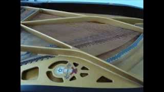 Ampico Model B Plays I Want To Be Happy