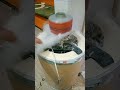 شدوا حيلكوا الچامبو جاي