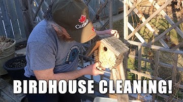 ScienceMan – Birdhouse Cleaning
