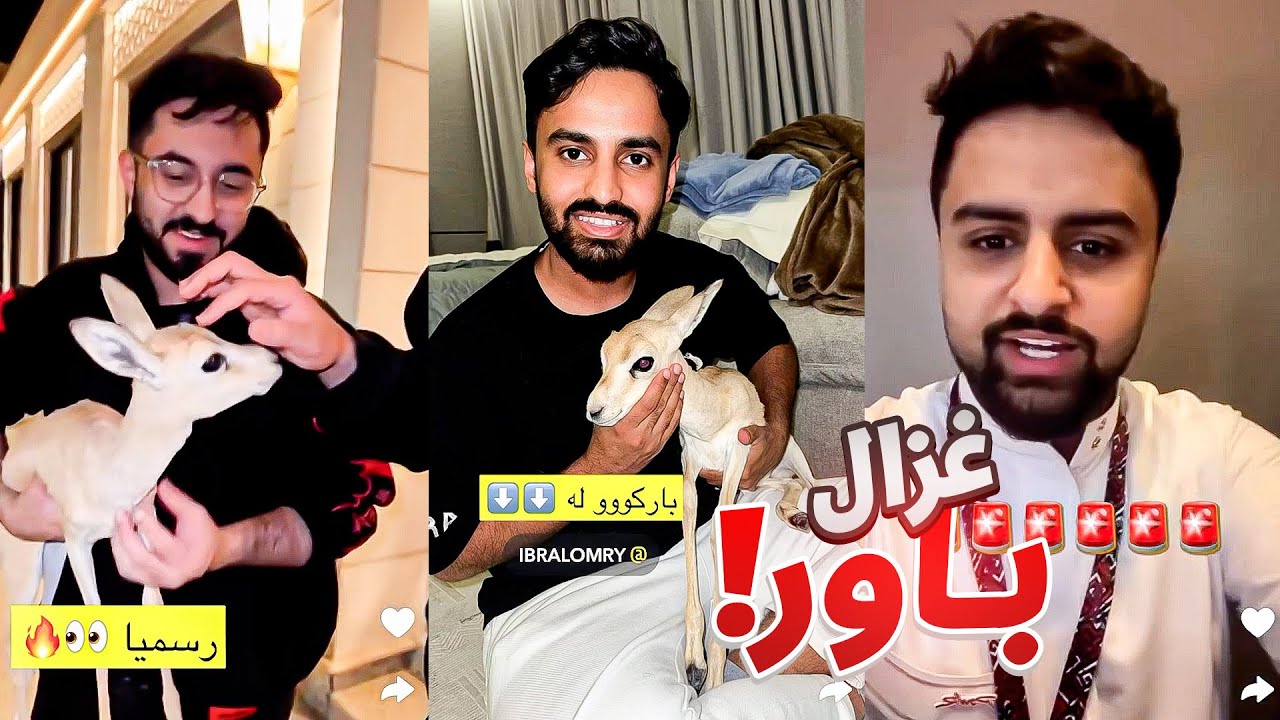 جبنا غزال لقصر باور 🤯! ~ سنابات باور