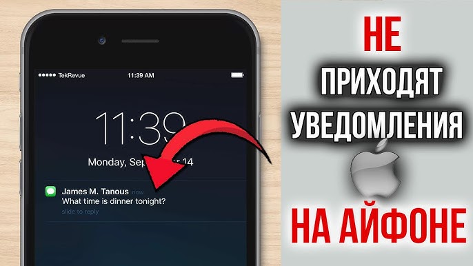 Почему не приходят уведомления в WhatsApp: причины и способы решения