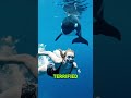 This whale SAVED HER from a SHARK ATTACK!