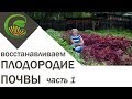 Как я сделала почву плодородной, 1 часть.