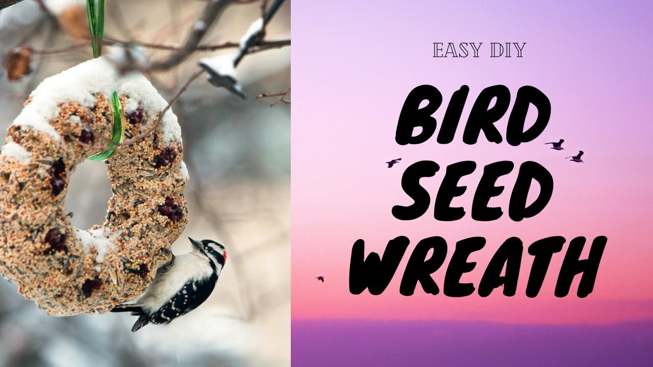 Easy DIY Bird Seed Wreath // Homestead Recipes YouTube