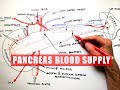 PANCREAS Blood Supply - Anatomy Tutorial