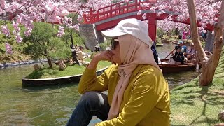 Download Lagu KAU DATANG...TRI UTAMI (cover) MP3