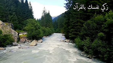 تلاوة خاشعة لسورة الجمعة القارئ عمر هشام العربي💚