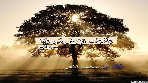 تلاوة هادئة ــ ما تيسر من سورة الزمر ــ  القارئ محمد نتعي محمد