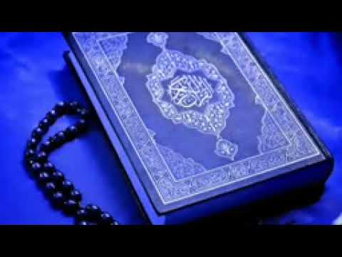 مدينة محمد عبده راشد الماجد رابح صقر اليسا ماجد المهندس عبدالمجيد عبدالله كاظم الساهر شيرين انغام