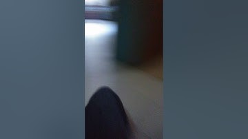 Fallout 4 father is not shaun