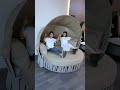 Smart Gadgets, Kitchen Tools Utilities For Every Home, Innovative Products ( Modern ideas) #Shorts​