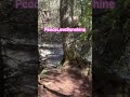 #adventureoutdoors #spring #forestriver #mountaintrail #getoutside