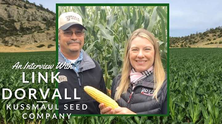 Montana Silage Corn with Link Dorvall - Kussmaul S...