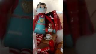 George the Elf has quite the comfy quarantine home