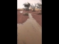 هطول أمطار على صحى موقق غرب حائل اليوم السبت 
