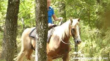 Docs Yellow Duster - trail woods and ravines! - ValleyViewRanch.net