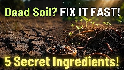 “5 Secret Ingredients to REVIVE DEAD SOIL Overnight | Powerful Organic Soil Rescue Method!”
