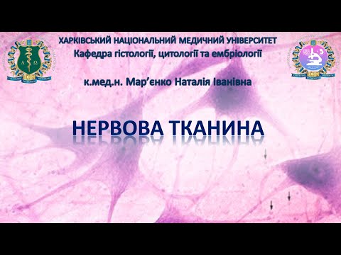 Нервова тканина. Гістологія