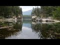 Bindweed Above The Water- Stive Morgan