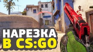 CS:GO - только диглы CS:GO - только диглы