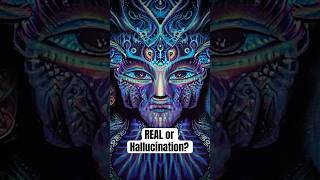 Are Dmt Entities Real Or Hallucinations?